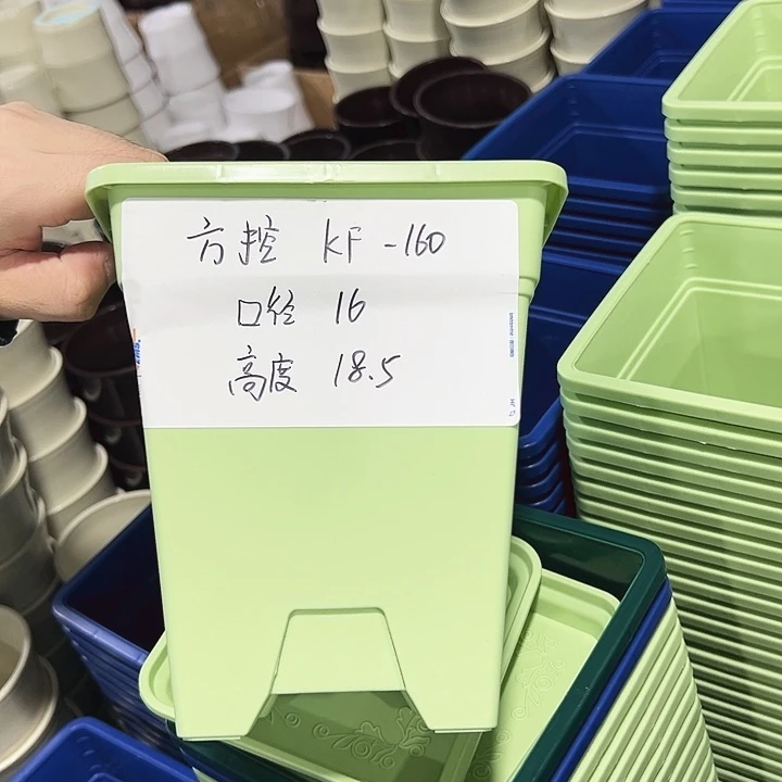 特价方盆口16高18果绿带托5只