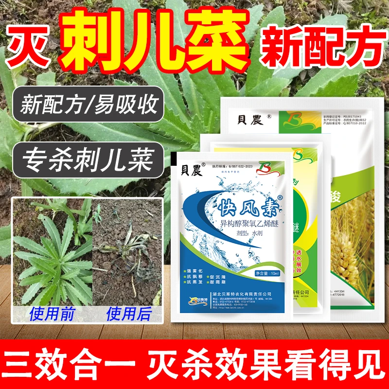 贝农刺儿菜专用强效三合一套装新配方刺菜专用除草剂