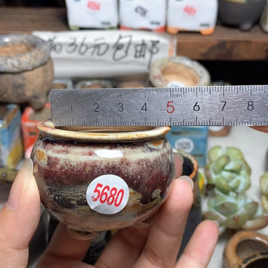 拍5送一个小礼物
