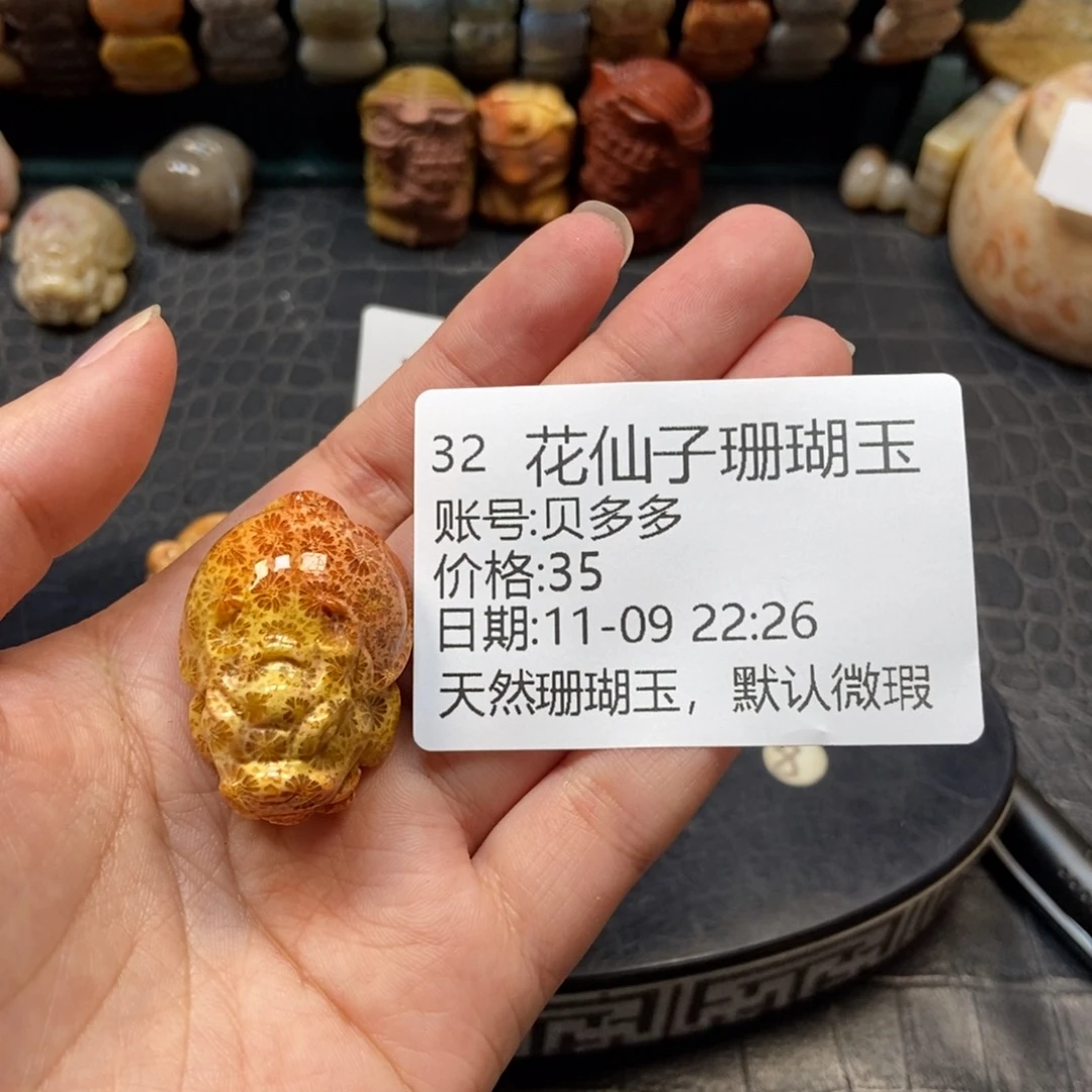 贝***多硅化珊瑚（珊瑚玉）未镶嵌珠宝半成品32