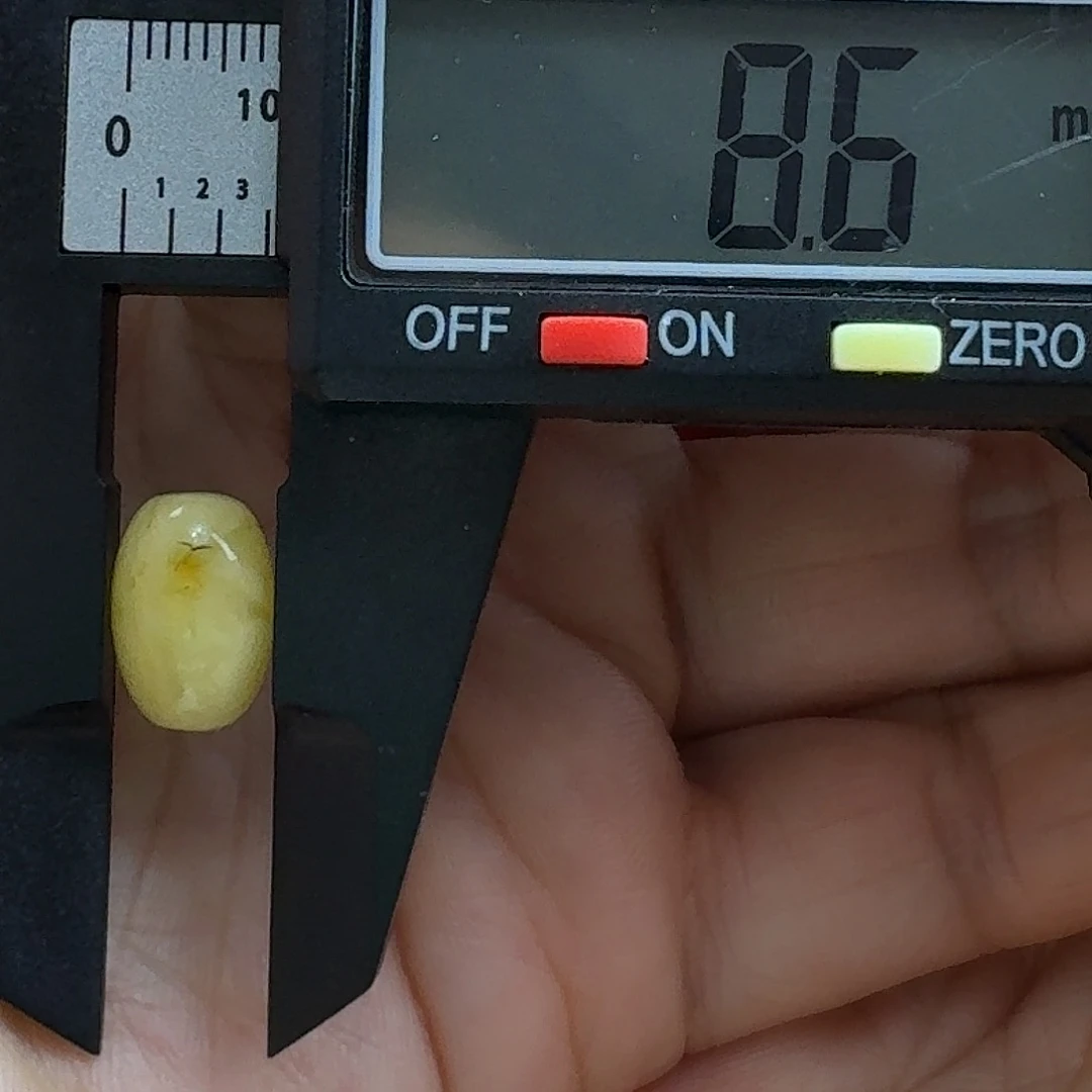 蜜蜡未镶嵌裸石31杂