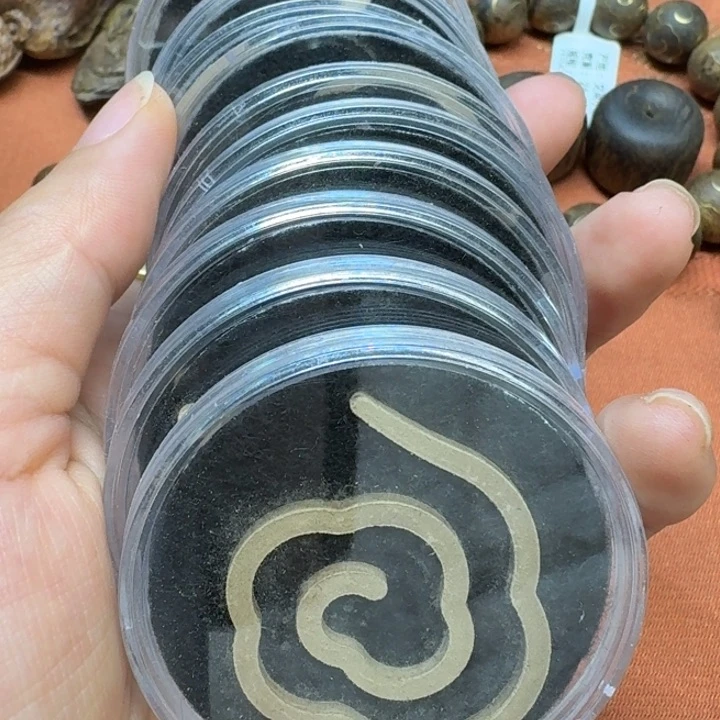 大叶紫檀（黑酸枝木类）