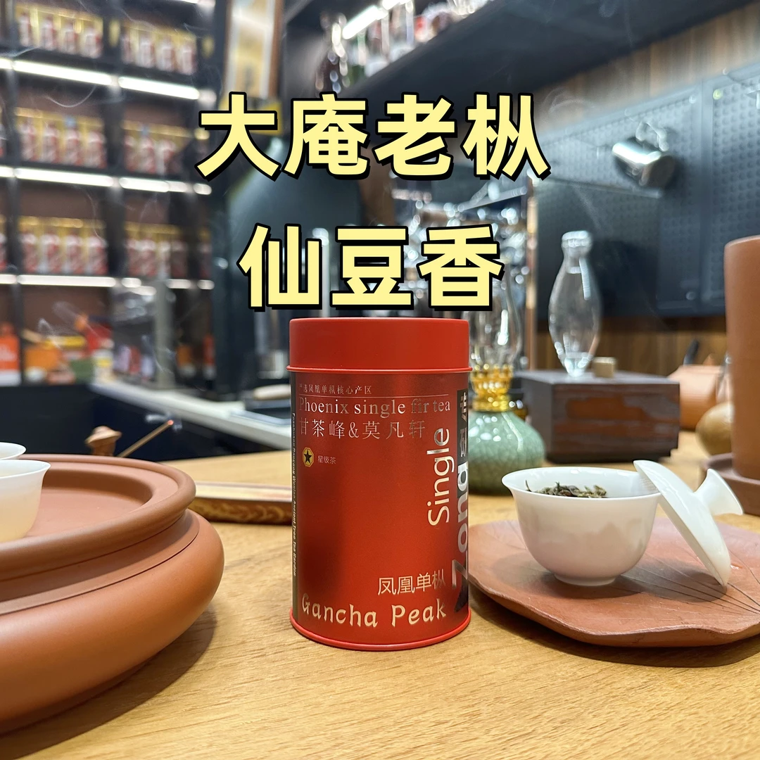 甘茶峰&莫凡轩【大庵老枞仙豆香】潮州凤凰单丛单枞 罐装春季50g