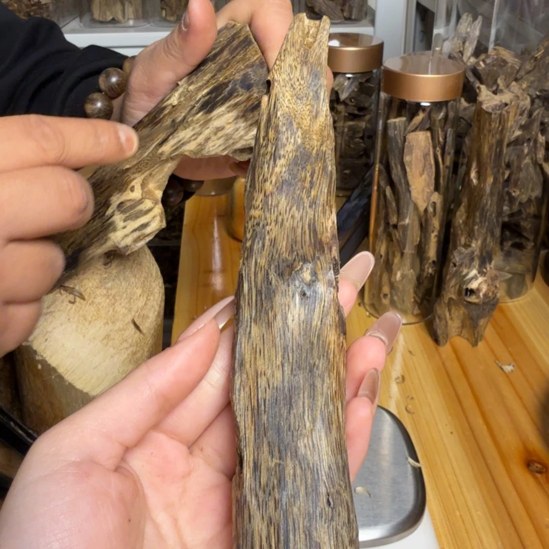 沉香乌身虫漏25克