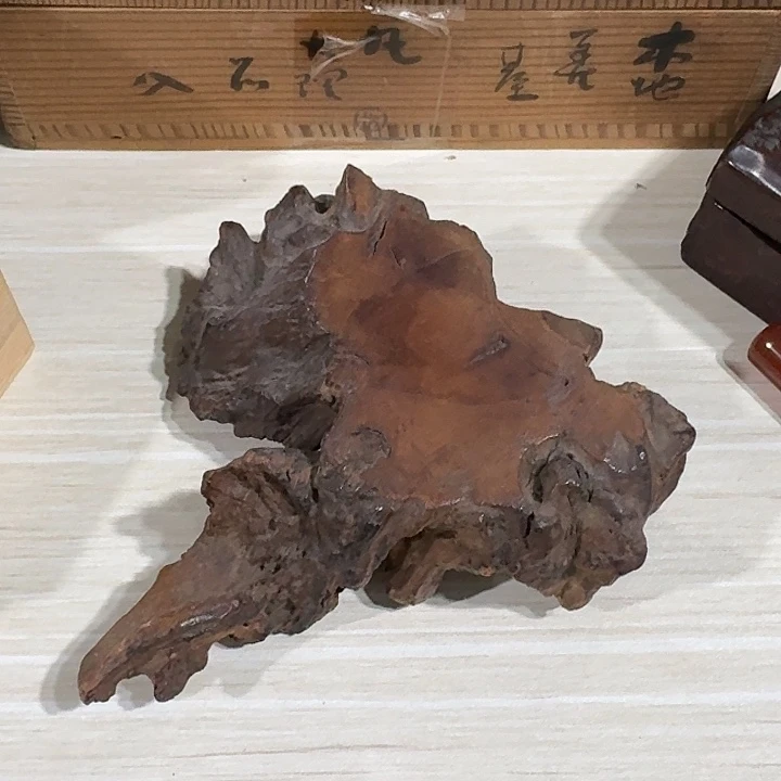 木木质哈哈哈哈哈哈