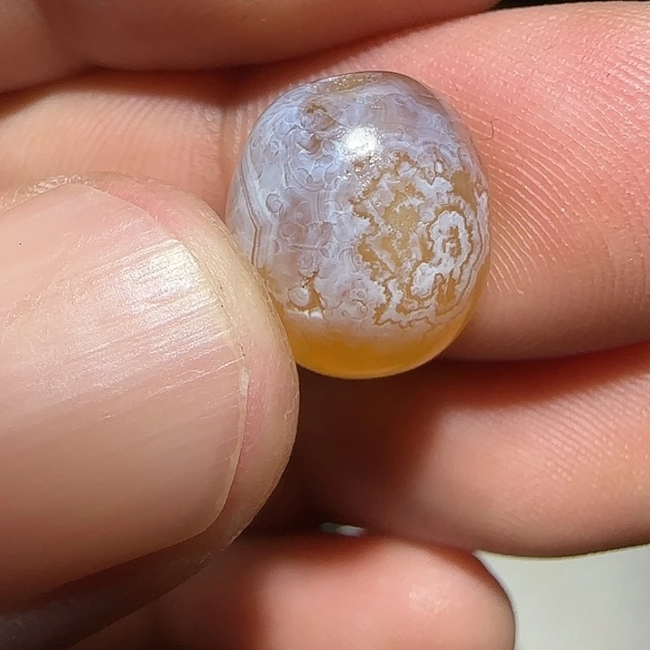 藏区老唐球保老漂亮