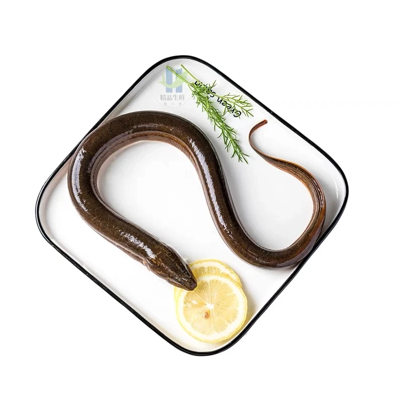 鳝鱼直播间现称现卖改价鲜活