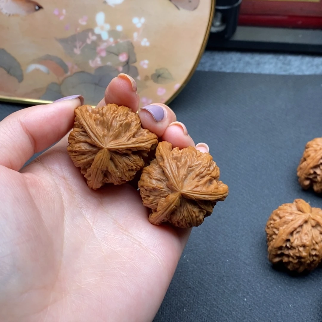 你****。白狮子11111111111