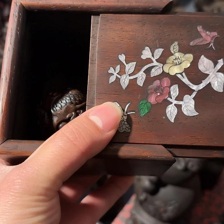 木如图所示 所见皆所得