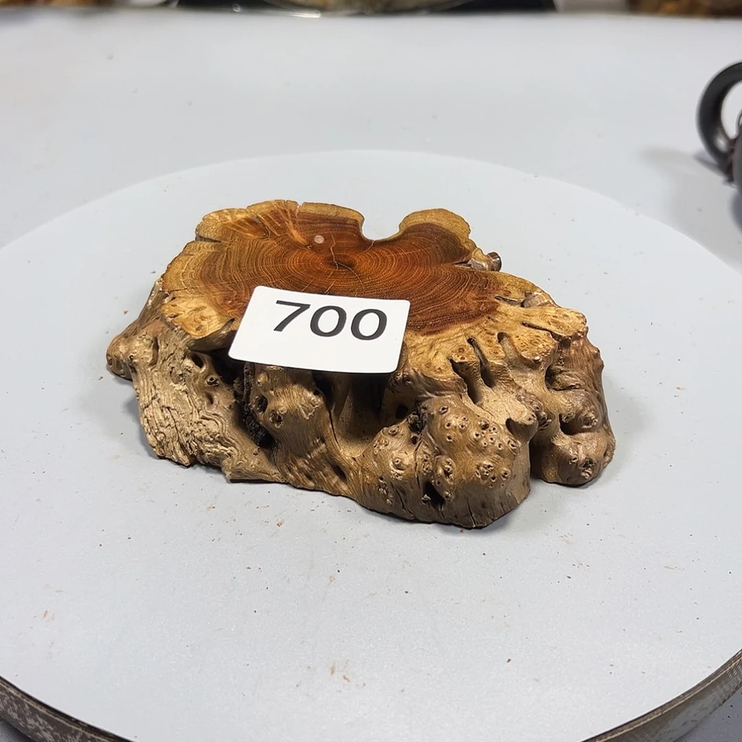 大果紫檀（缅甸花梨）用****2