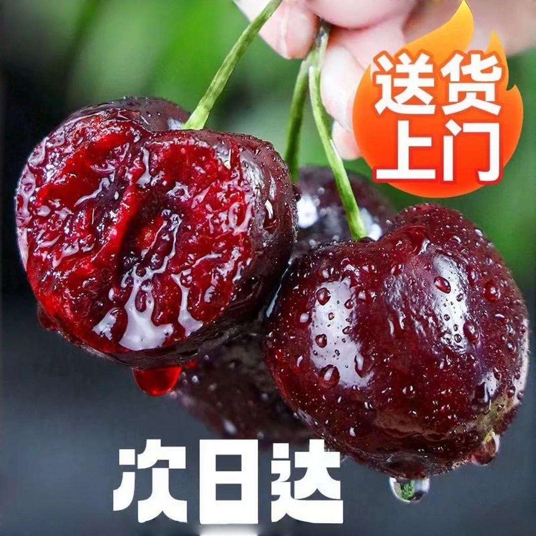 智利空运新鲜车厘子2JD-5JD净重5斤（内附果径卡）桑提娜樱桃智利共和国