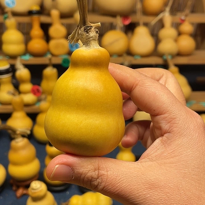 M***。11111111111111111111