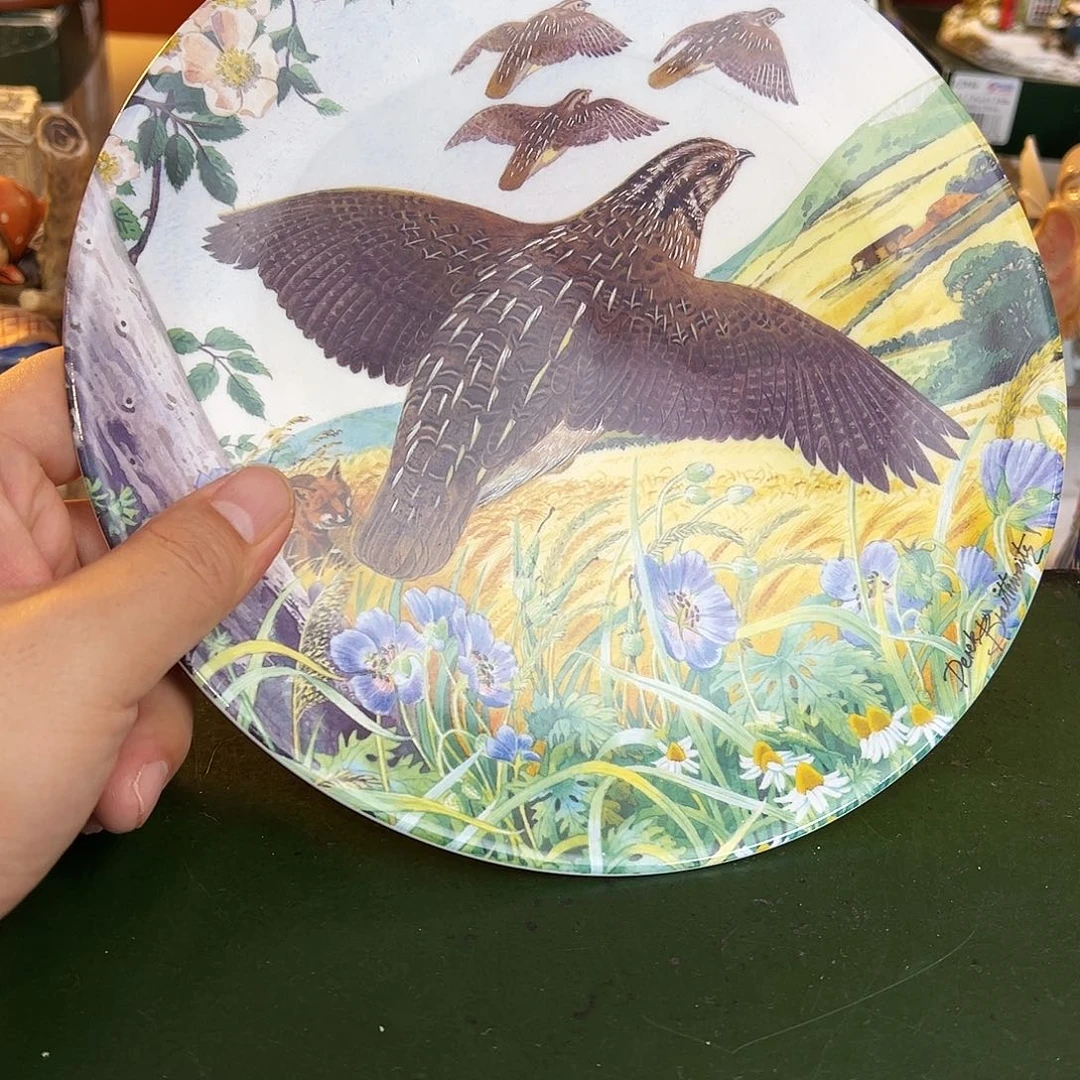 杯高端进口美物分享