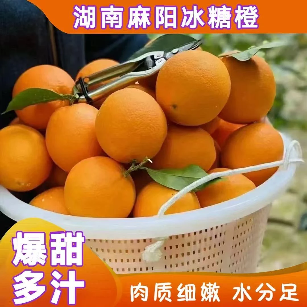 爆甜湖南麻阳冰糖橙向阳果新鲜当季水大果产地直发手剥甜5-9斤