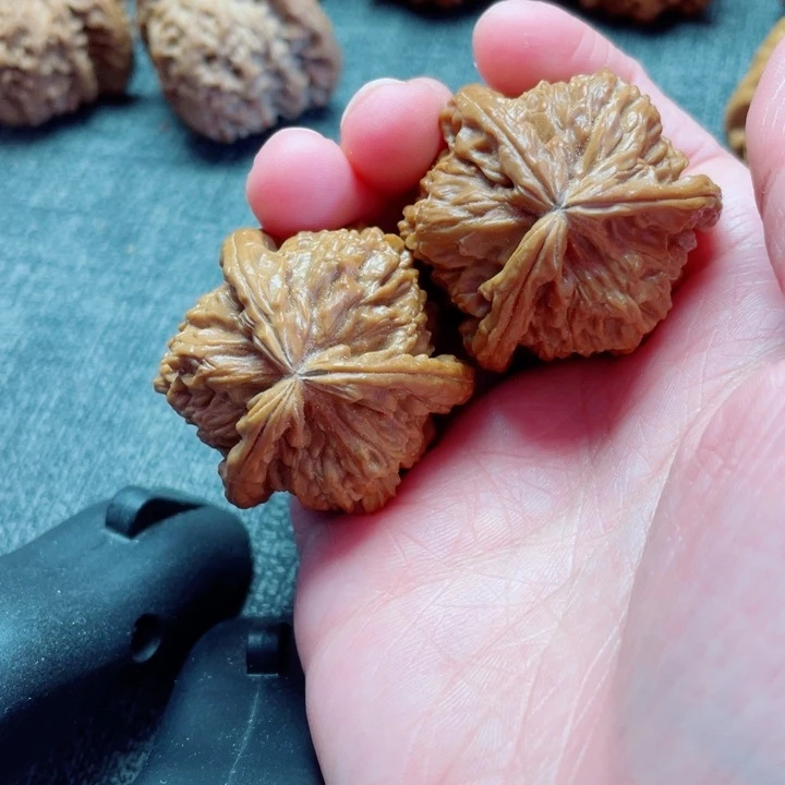 手工三棱白狮子三棱