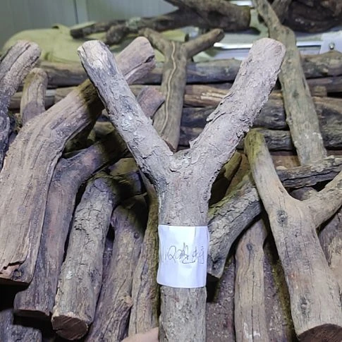 小***手火琉璃原杈，不保沉水，慎拍！