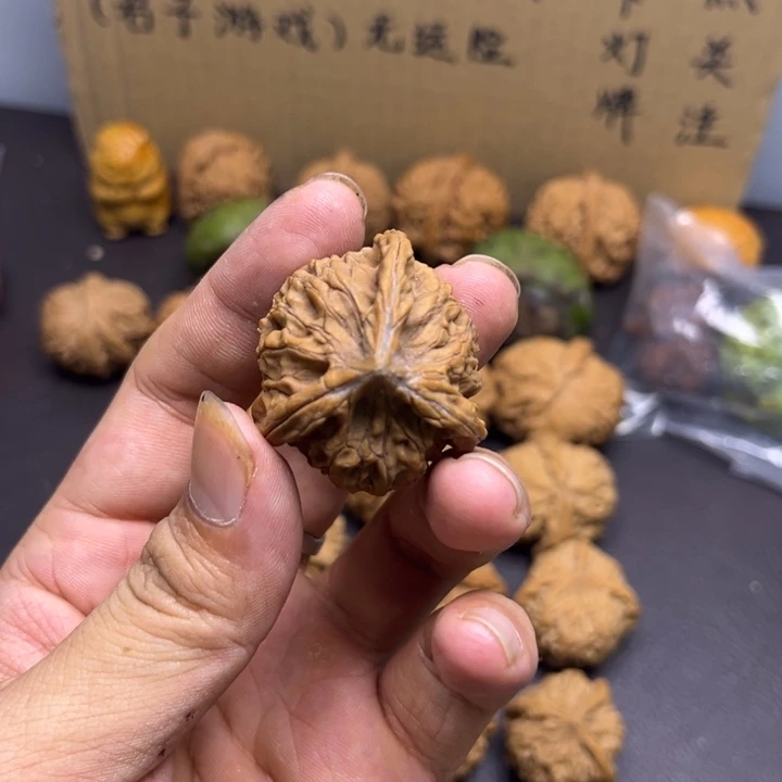发***哥菩提籽类三棱人奔有裂