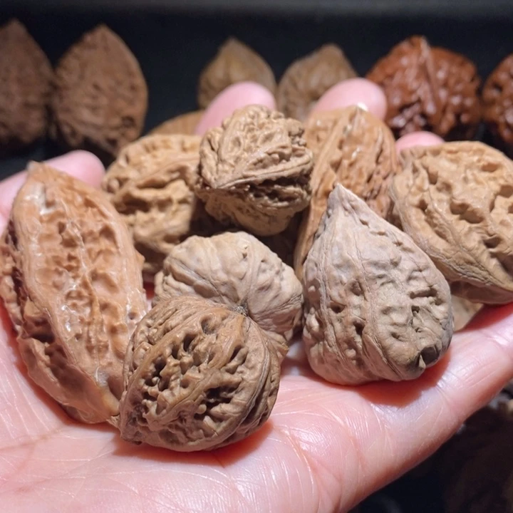 文玩核桃把件菩***树东北楸子7