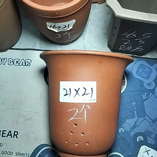 大红金钟两个花盆