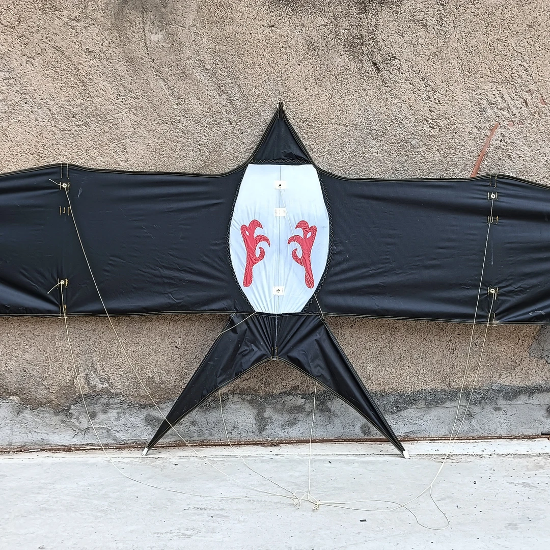 2.8米板燕风筝微风易飞P31伞布碳杆老三风筝特色老玩家高档专业