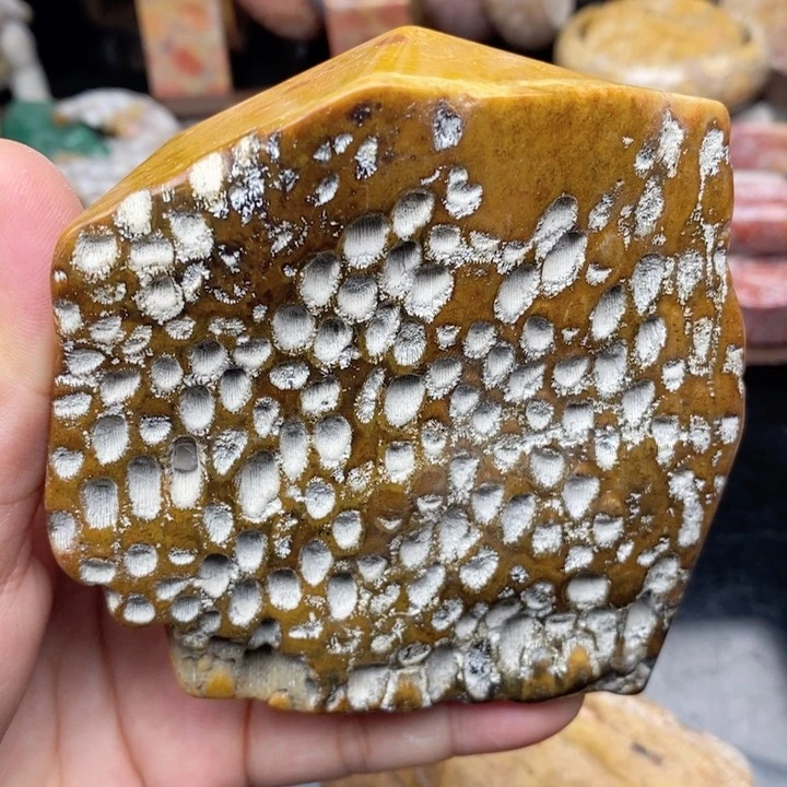 硅化玉手镯未镶嵌
