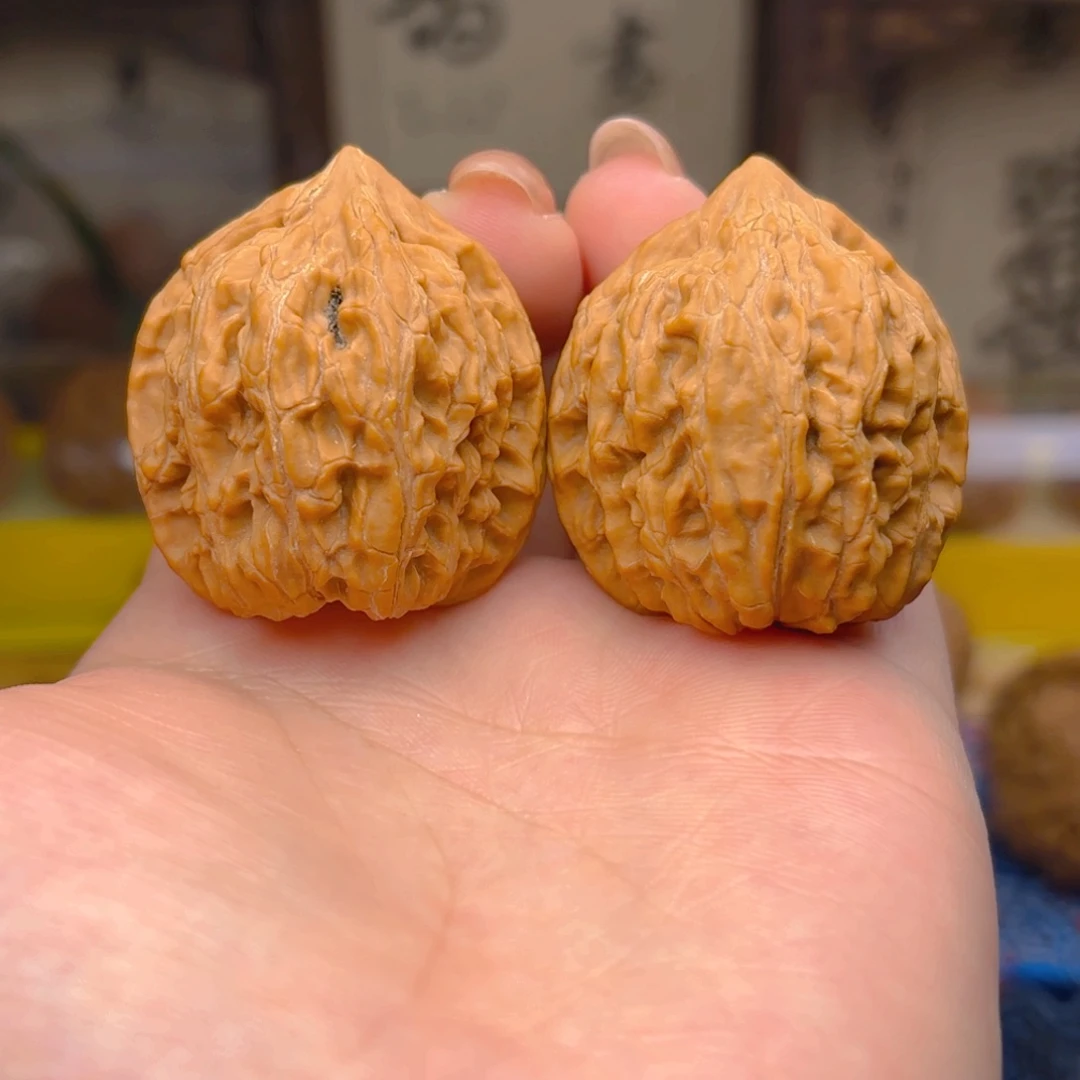 野生小红豆三十六尺三十九克
