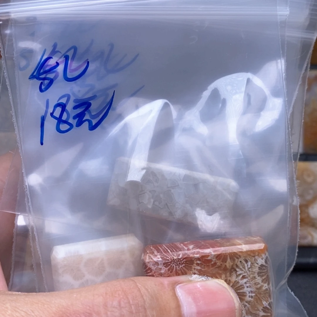 乱***河硅化珊瑚(珊瑚玉)未镶嵌颈饰