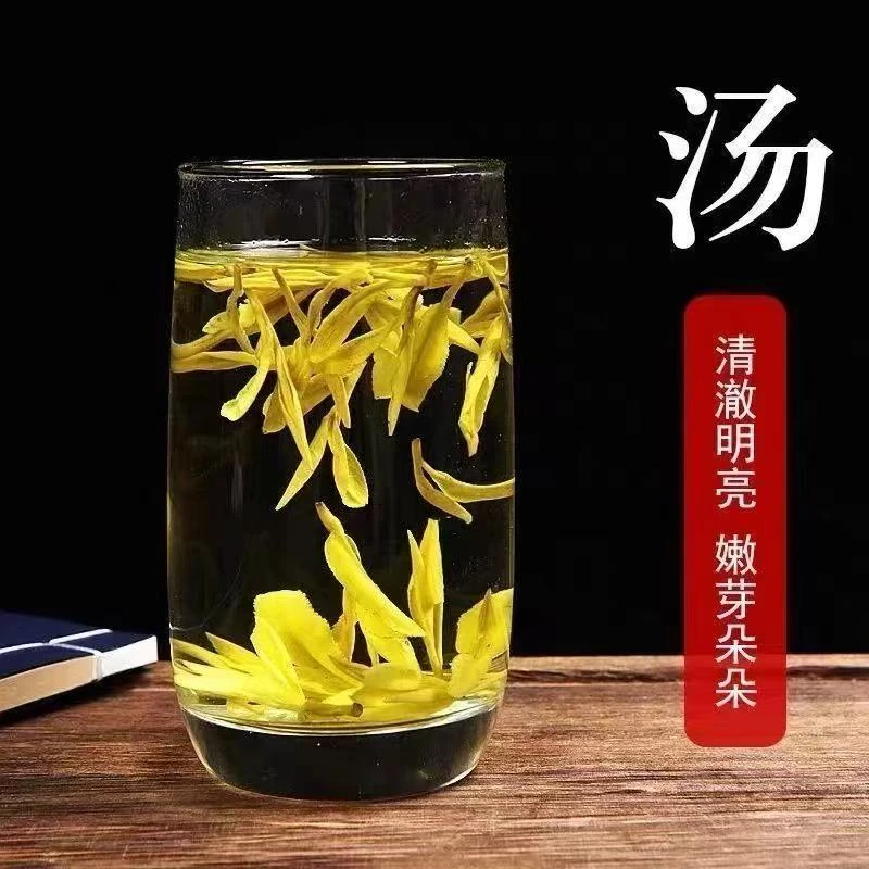 {福利款口粮茶}高山黄金芽25年新茶春茶浓香耐泡豆香