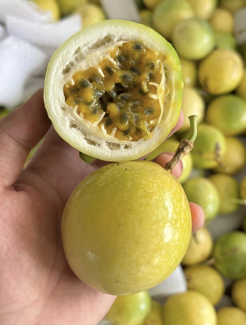 广西钦蜜9号百香果新鲜现摘酸甜多汁当季水果