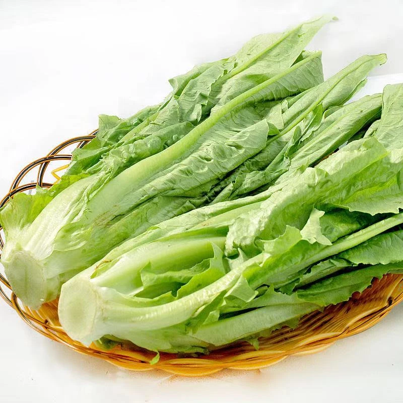 油麦菜400g±5g/份＋臭菜约400斤/份＋生菜600g±5g/份+小白菜400g±5g/份+苦苣400g±5g/份