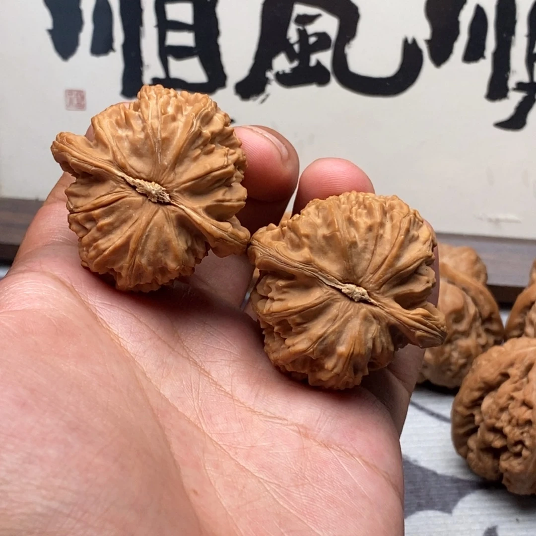 把件文玩核桃全品42老款白狮子