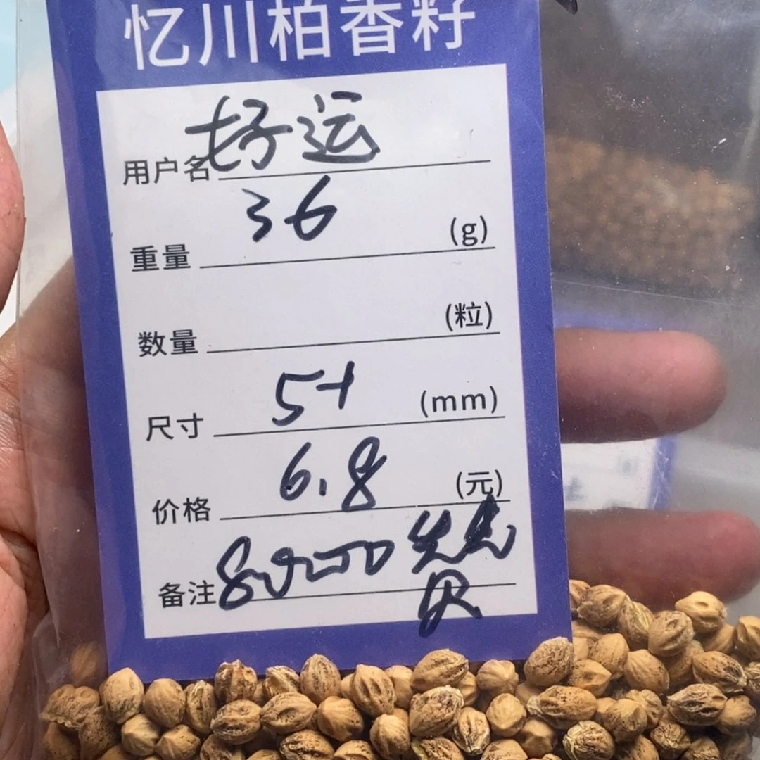柏香籽/百香籽吊坠好**年