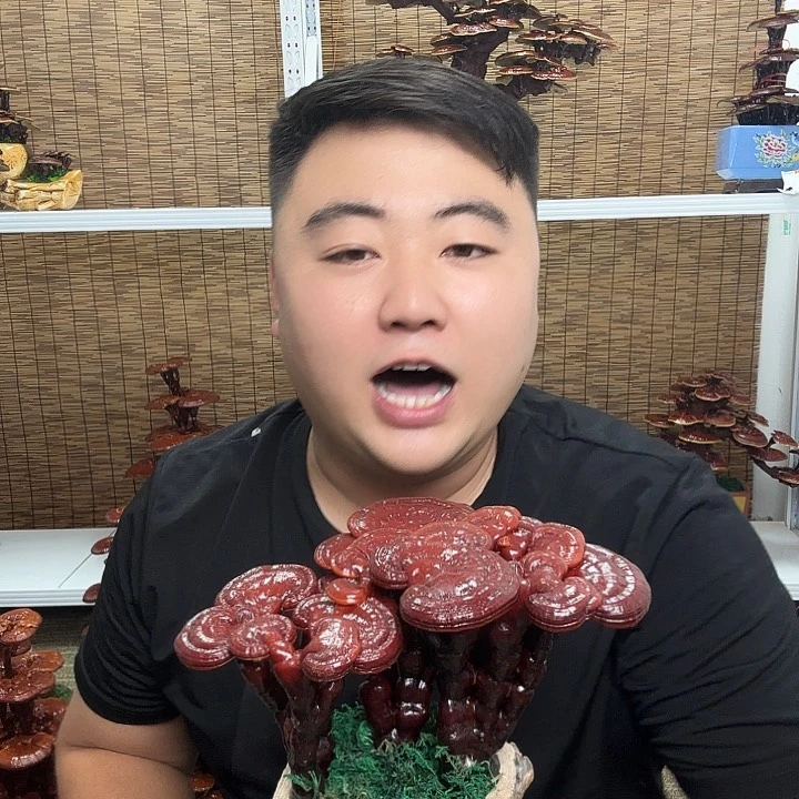 无花朵巷*灵芝花开了