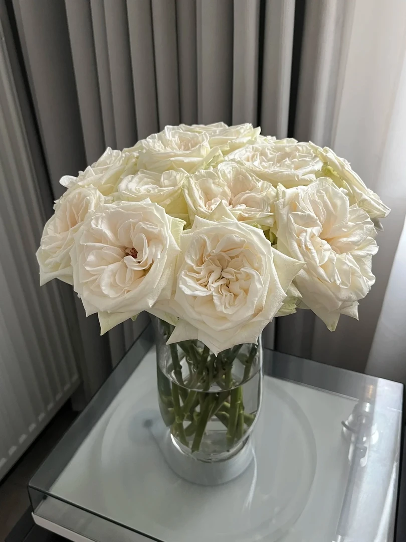 云蕊【香味白荔枝玫瑰花束】云南玫瑰鲜切花