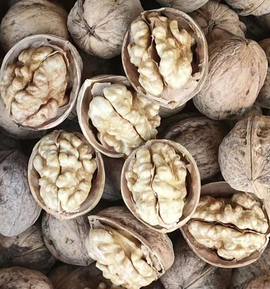 25年新疆阿克苏薄皮纸皮核桃原色原味手捏即开没洗过上班充饥零食