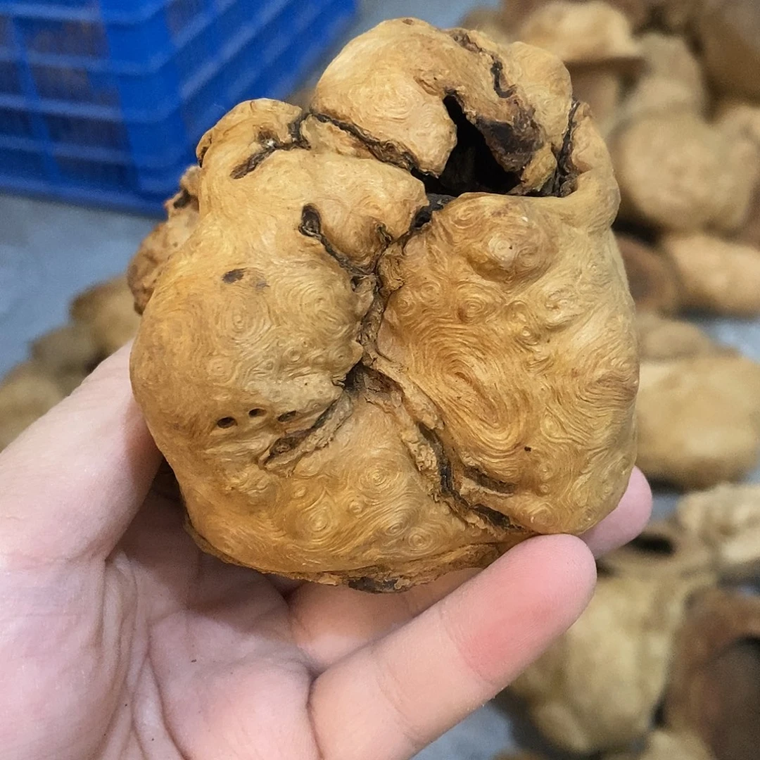 文***产荔枝木荔枝木原料