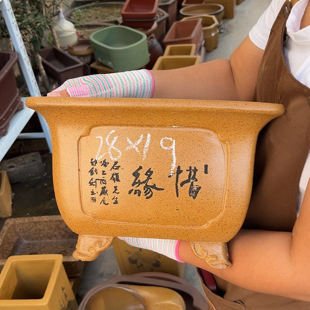紫砂花盆盆景艺术