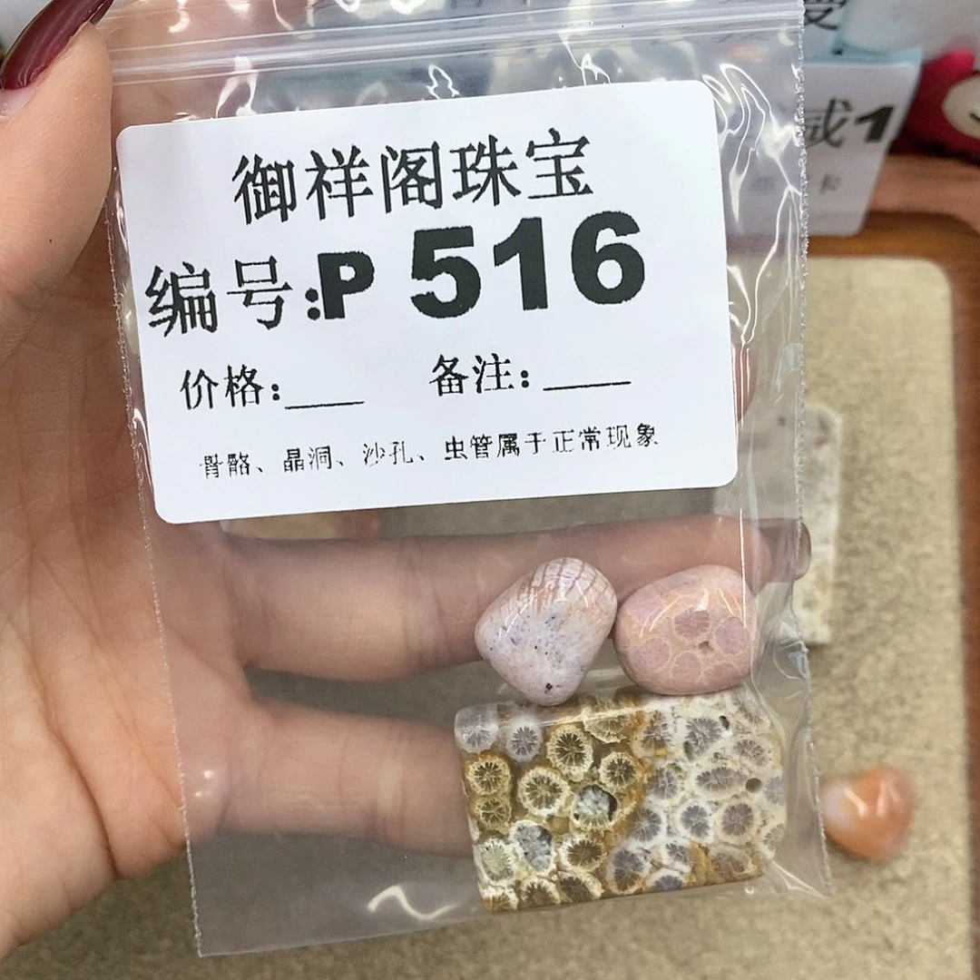 硅化珊瑚（珊瑚玉）P未镶嵌泡**