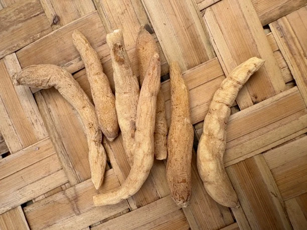 高原太子参 煲汤 炖鸡