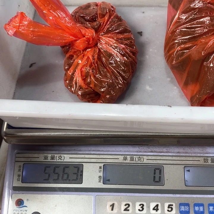 泥塑无打孔体验装7