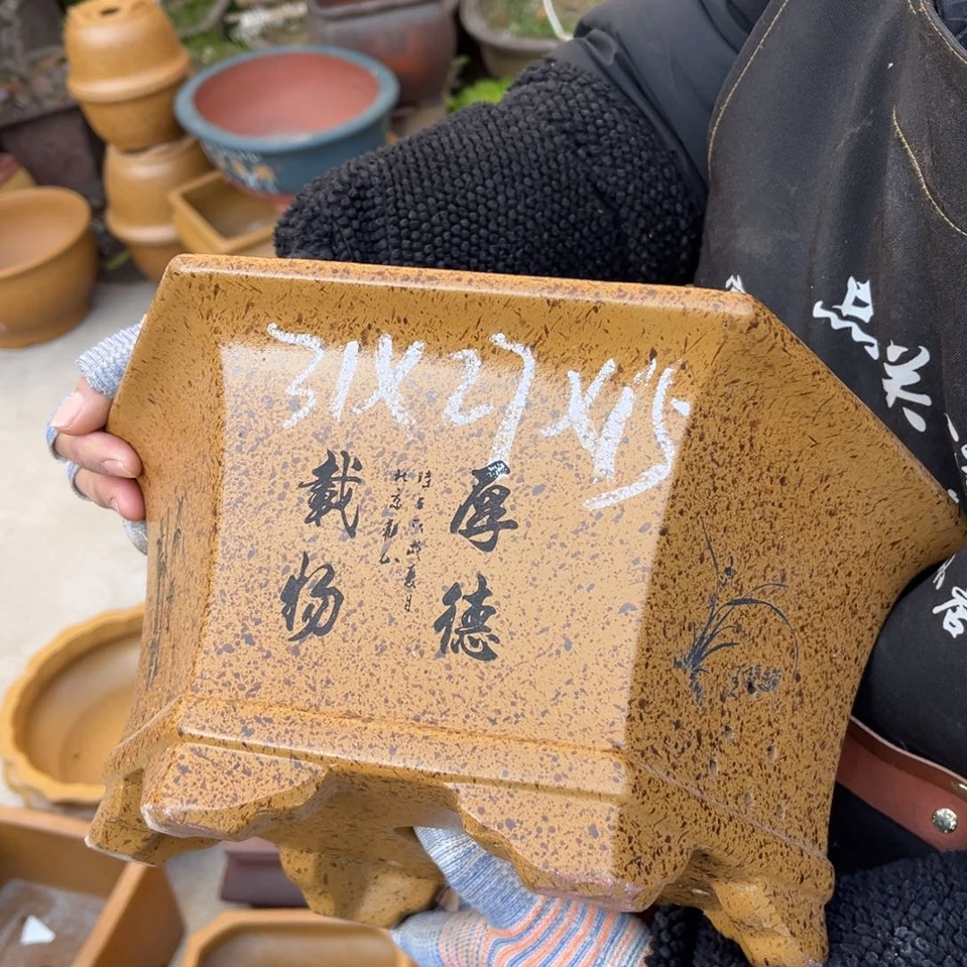 紫砂花盆盆景艺术