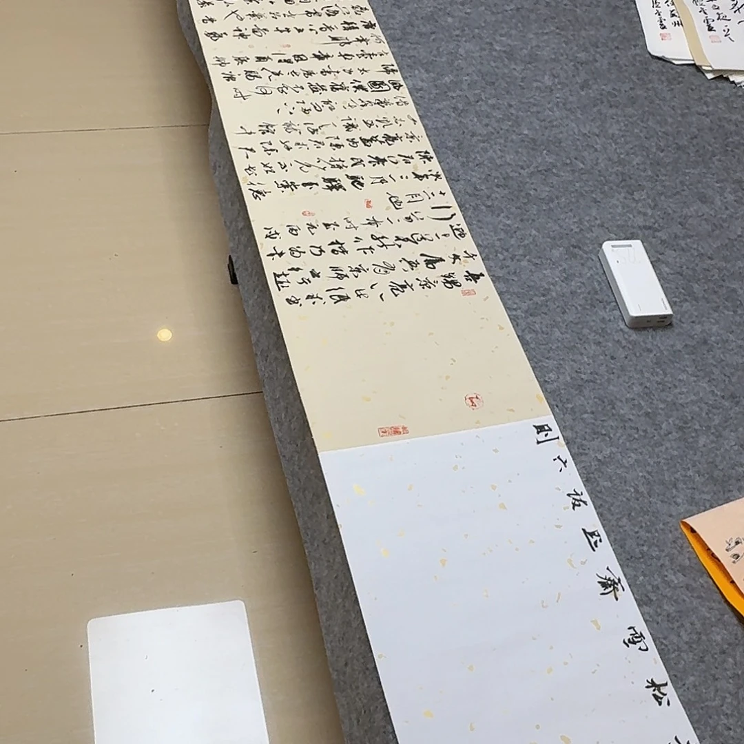 书法国展书家麻春芳249×34