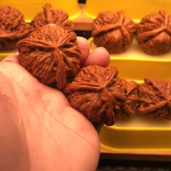 品***生文玩核桃吊坠核桃核桃核桃核桃