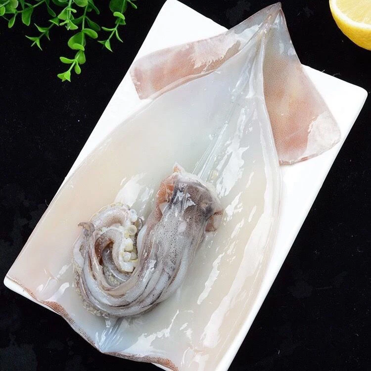 正宗野生鱿鱼 清蒸 爆炒