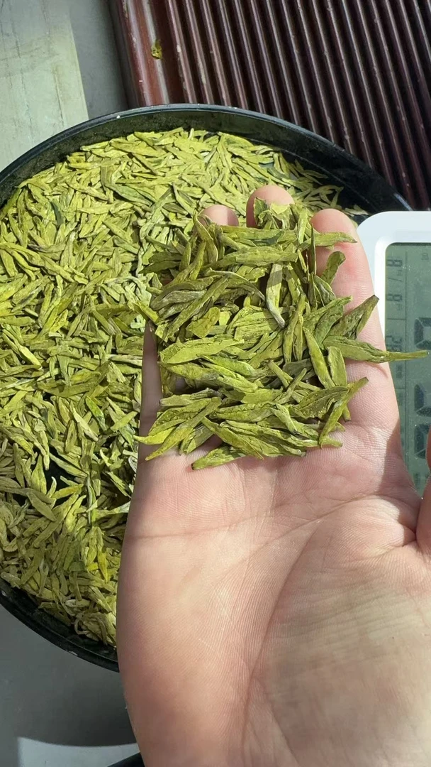 春知雨茶叶2025年新茶明前龙井43号原料龙型扁茶豆香（初级农产品）