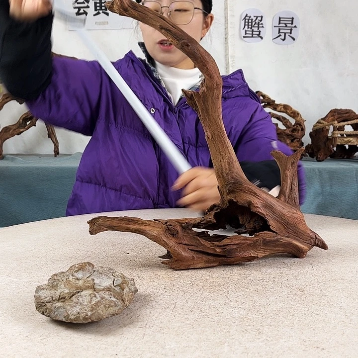 沉木造景爬宠造景