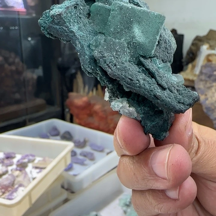 昌化石印石M****g原石料