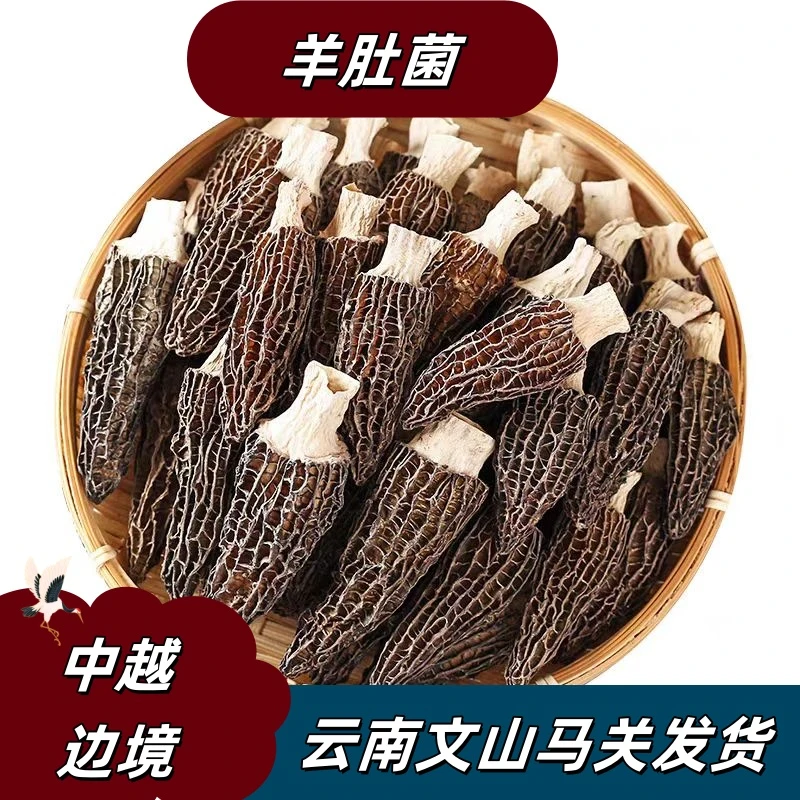 《保长精选》云南新货羊肚菌50g/100g干货煲汤炒菜