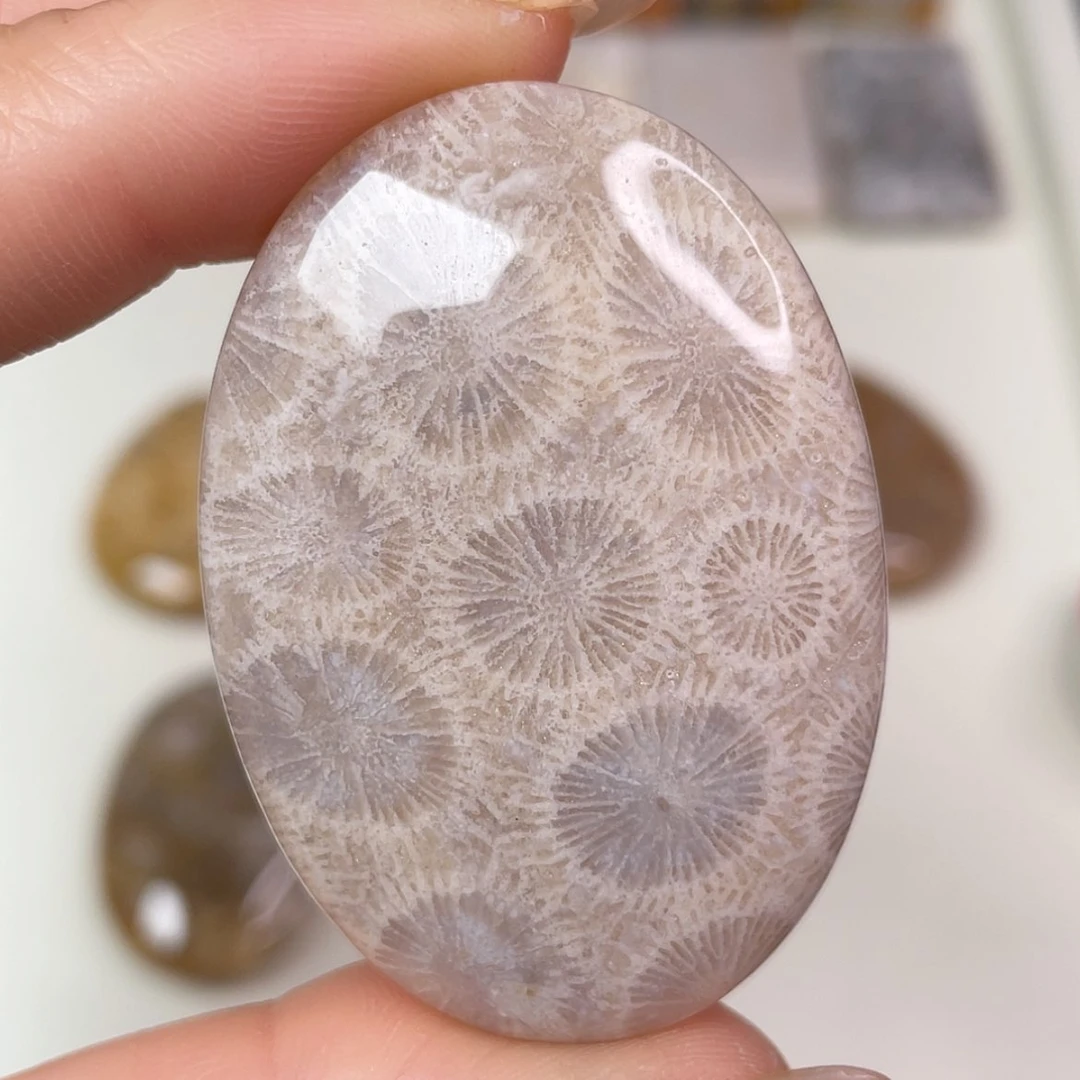【闪购商品】未镶嵌吊坠(赠链)硅化玉
