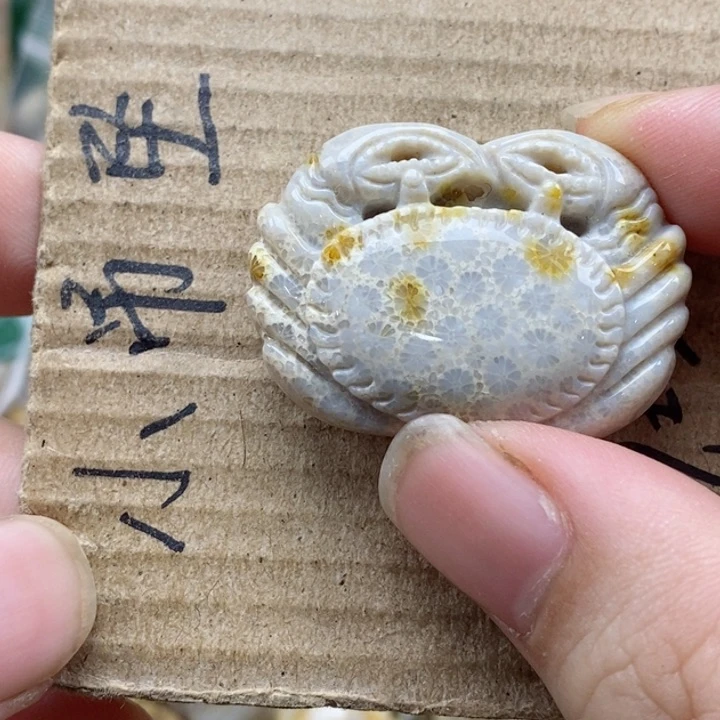 硅化珊瑚（珊瑚玉）未镶嵌颈饰琳*